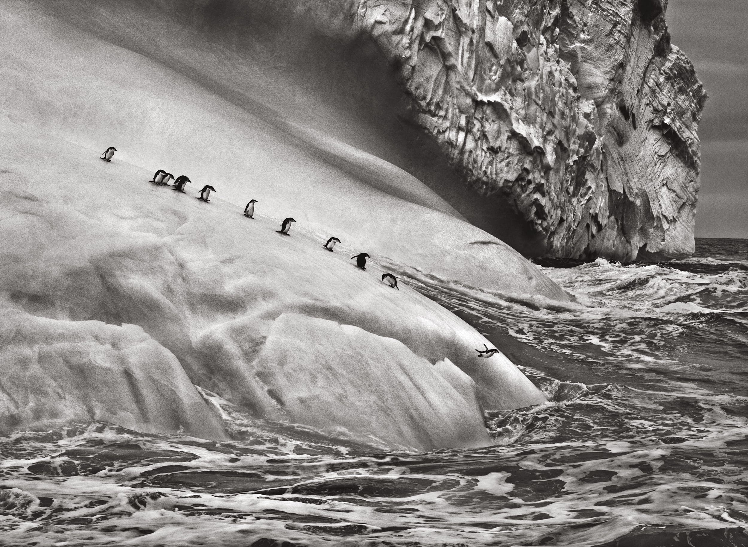 lyf artificial poetry tribute 8 sebastiao salgado.jpg